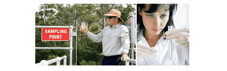 man in sunglasses holding sample and woman analyzing collected sample in test tube